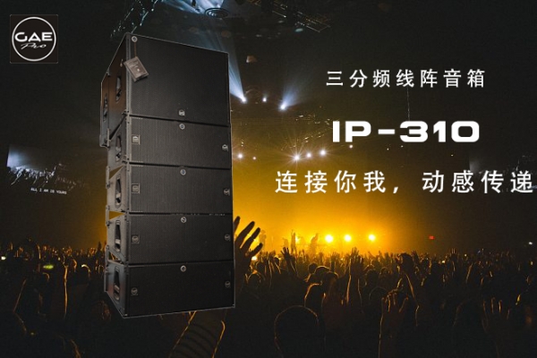 91网站视频在线观看音響【IP-310】10寸三分頻線陣音箱，酒吧音響項目的首選
