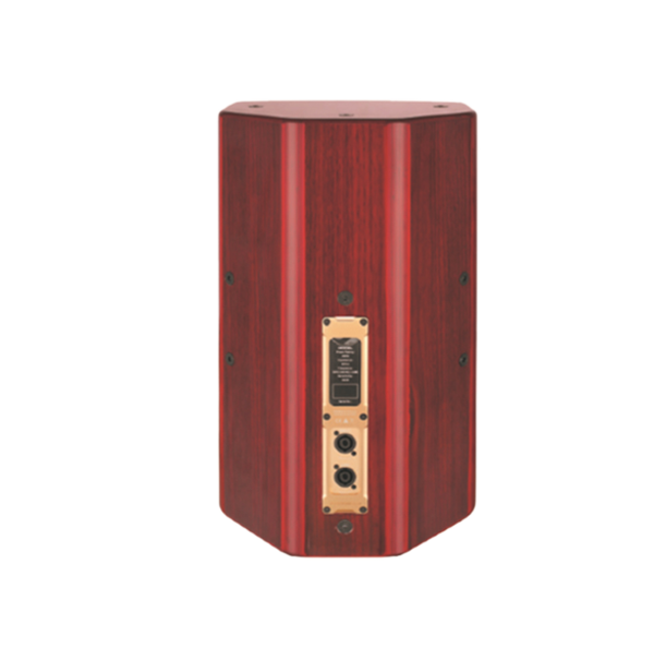 【AE-10】10寸全頻揚聲器音箱