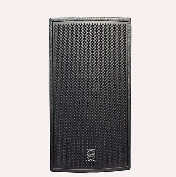 【TS-10】10寸全頻揚聲器音箱