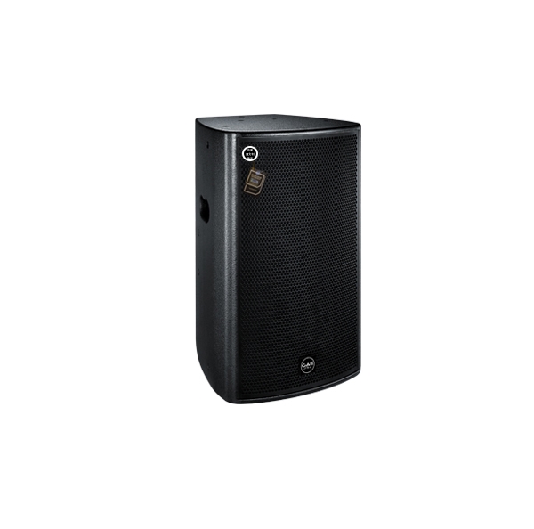 【CQ-1+】10寸全頻揚聲器音箱