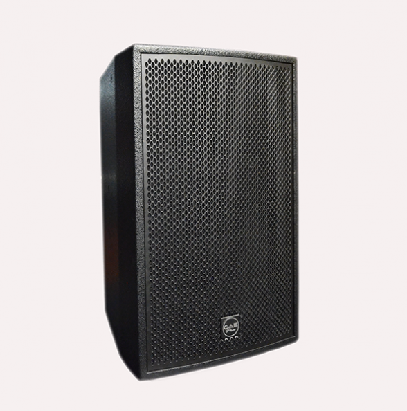 【TS-10】10寸全（quán）頻揚聲器音箱
